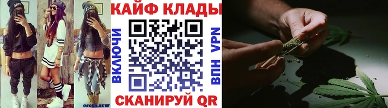 Альфа ПВП Власиха