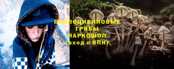 ECSTASY Абдулино
