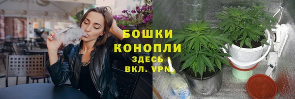 спайс Абаза